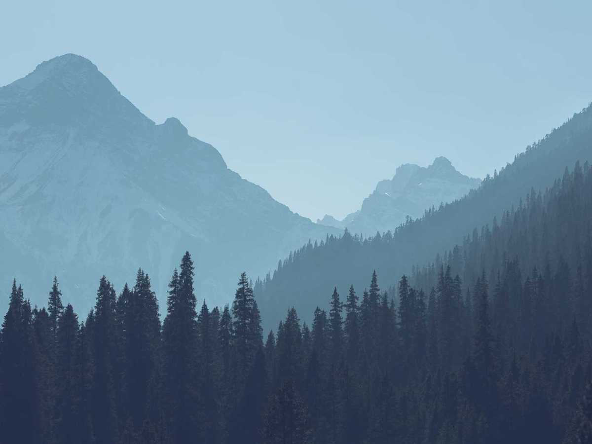 Musik von Sophie&nbsp;Zelmani